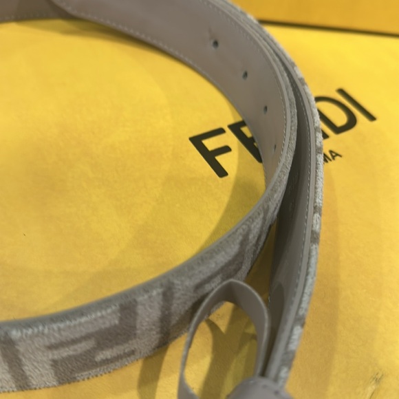 Fendi Brown and Gold women Belt Bag - Picture 7 of 17